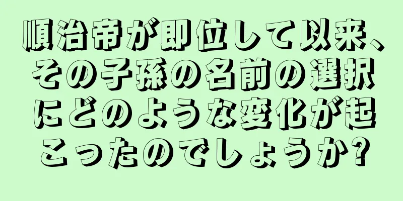 順治帝が即位して以来、その子孫の名前の選択にどのような変化が起こったのでしょうか?