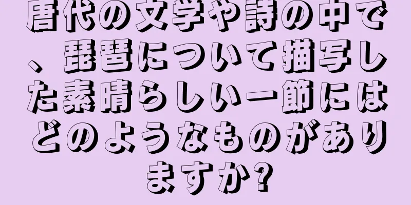 唐代の文学や詩の中で、琵琶について描写した素晴らしい一節にはどのようなものがありますか?