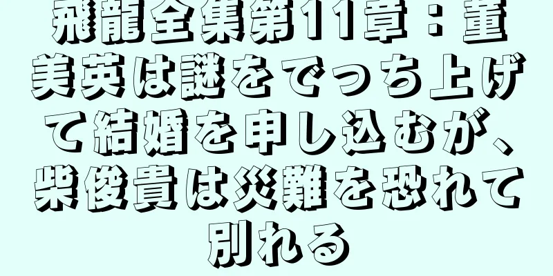 飛龍全集第11章：董美英は謎をでっち上げて結婚を申し込むが、柴俊貴は災難を恐れて別れる