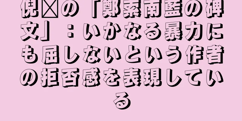倪瓚の「鄭索南藍の碑文」：いかなる暴力にも屈しないという作者の拒否感を表現している