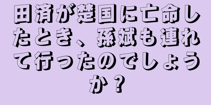田済が楚国に亡命したとき、孫斌も連れて行ったのでしょうか？