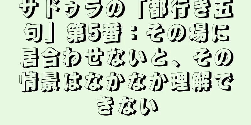 サドゥラの「都行き五句」第5番：その場に居合わせないと、その情景はなかなか理解できない