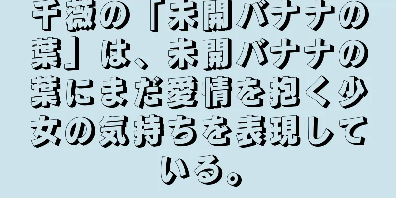 千薇の「未開バナナの葉」は、未開バナナの葉にまだ愛情を抱く少女の気持ちを表現している。