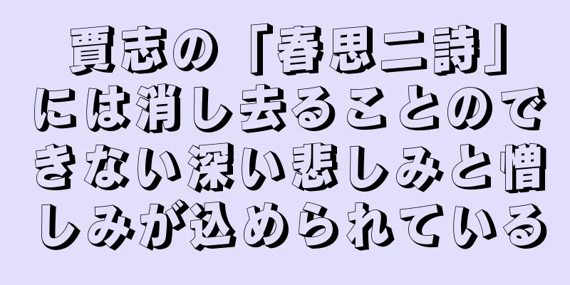 賈志の「春思二詩」には消し去ることのできない深い悲しみと憎しみが込められている