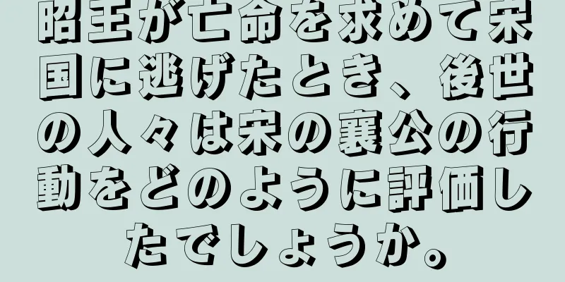 昭王が亡命を求めて宋国に逃げたとき、後世の人々は宋の襄公の行動をどのように評価したでしょうか。