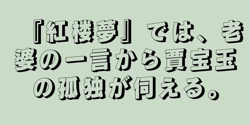 『紅楼夢』では、老婆の一言から賈宝玉の孤独が伺える。