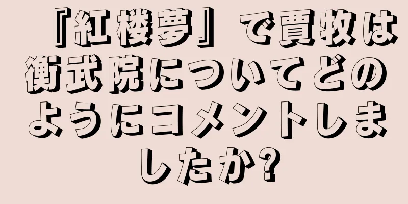 『紅楼夢』で賈牧は衡武院についてどのようにコメントしましたか?