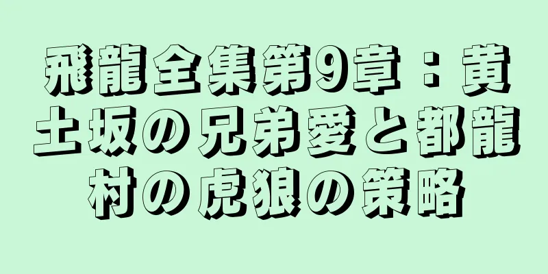 飛龍全集第9章：黄土坂の兄弟愛と都龍村の虎狼の策略
