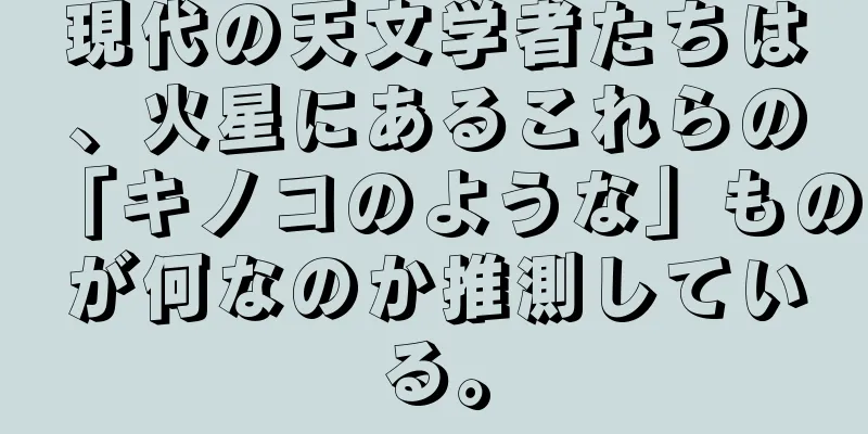 現代の天文学者たちは、火星にあるこれらの「キノコのような」ものが何なのか推測している。