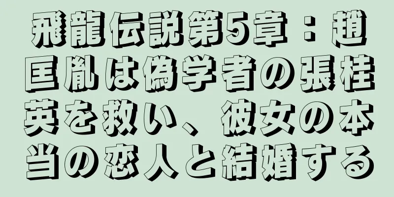 飛龍伝説第5章：趙匡胤は偽学者の張桂英を救い、彼女の本当の恋人と結婚する