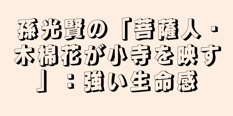 孫光賢の「菩薩人・木棉花が小寺を映す」：強い生命感