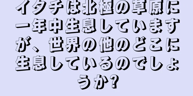 イタチは北極の草原に一年中生息していますが、世界の他のどこに生息しているのでしょうか?
