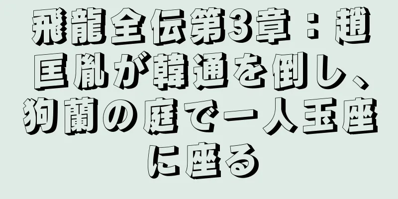 飛龍全伝第3章：趙匡胤が韓通を倒し、狗蘭の庭で一人玉座に座る