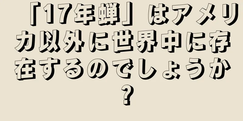 「17年蝉」はアメリカ以外に世界中に存在するのでしょうか？