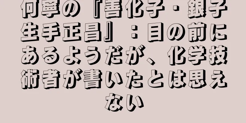 何寧の『善化子・銀子生手正昌』：目の前にあるようだが、化学技術者が書いたとは思えない