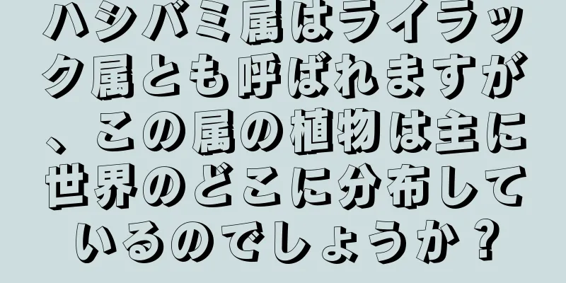 ハシバミ属はライラック属とも呼ばれますが、この属の植物は主に世界のどこに分布しているのでしょうか？