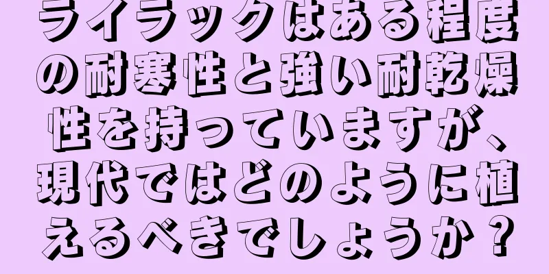 ライラックはある程度の耐寒性と強い耐乾燥性を持っていますが、現代ではどのように植えるべきでしょうか？