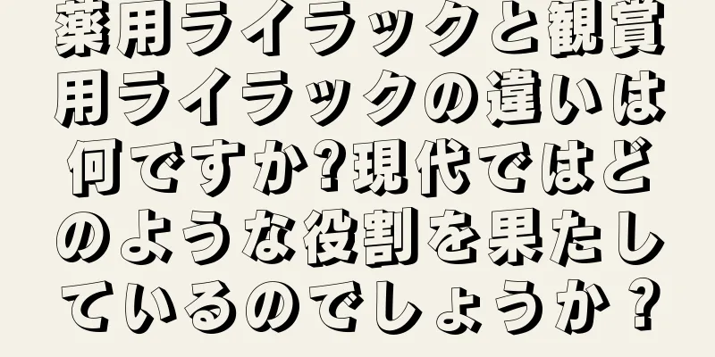 薬用ライラックと観賞用ライラックの違いは何ですか?現代ではどのような役割を果たしているのでしょうか？