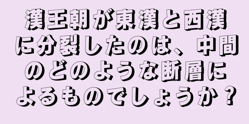 漢王朝が東漢と西漢に分裂したのは、中間のどのような断層によるものでしょうか？