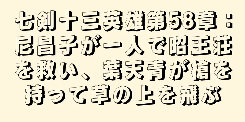 七剣十三英雄第58章：尼昌子が一人で昭王荘を救い、葉天青が槍を持って草の上を飛ぶ