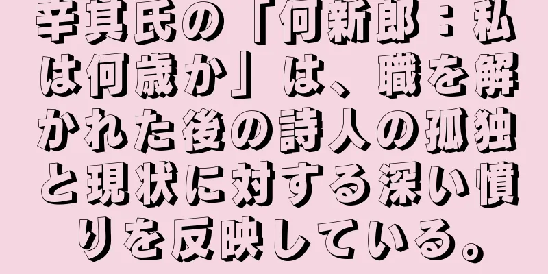辛其氏の「何新郎：私は何歳か」は、職を解かれた後の詩人の孤独と現状に対する深い憤りを反映している。