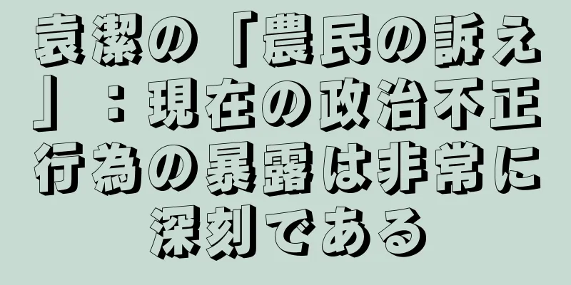 袁潔の「農民の訴え」：現在の政治不正行為の暴露は非常に深刻である
