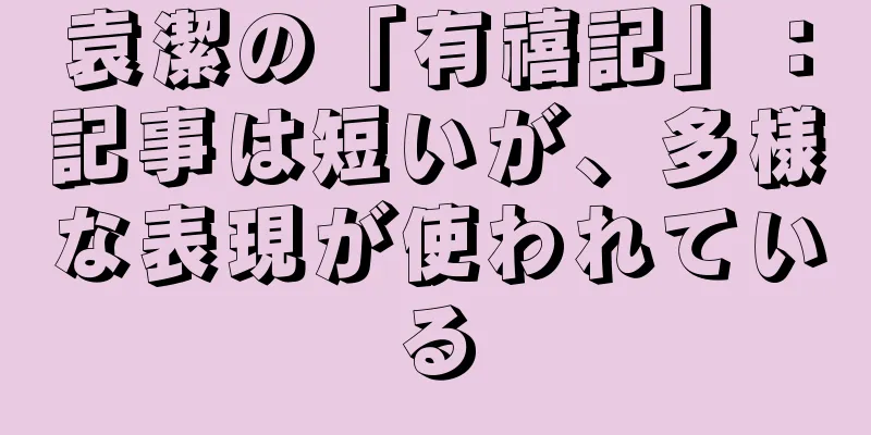 袁潔の「有禧記」：記事は短いが、多様な表現が使われている