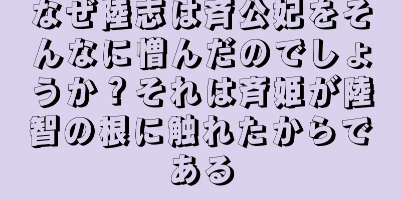 なぜ陸志は斉公妃をそんなに憎んだのでしょうか？それは斉姫が陸智の根に触れたからである