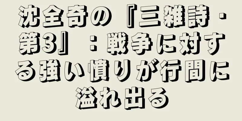 沈全奇の『三雑詩・第3』：戦争に対する強い憤りが行間に溢れ出る