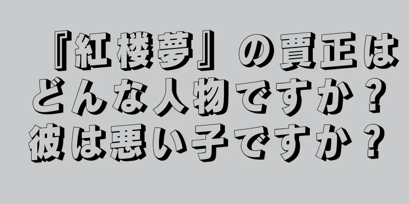 『紅楼夢』の賈正はどんな人物ですか？彼は悪い子ですか？