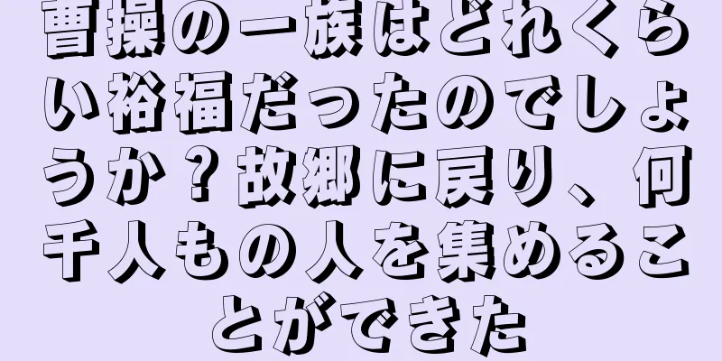 曹操の一族はどれくらい裕福だったのでしょうか？故郷に戻り、何千人もの人を集めることができた