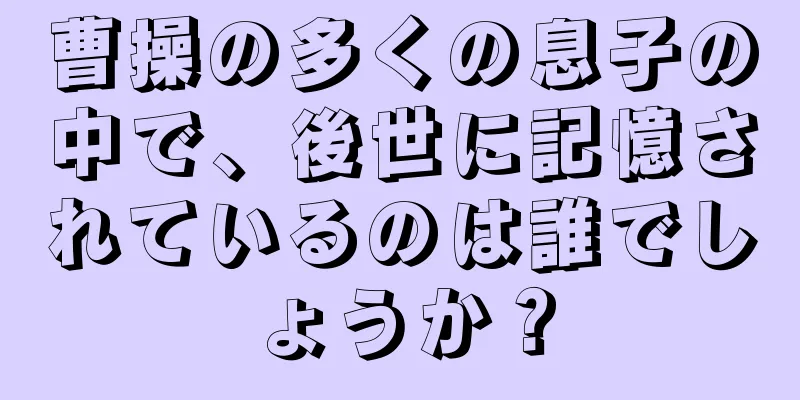 曹操の多くの息子の中で、後世に記憶されているのは誰でしょうか？