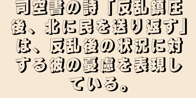 司空書の詩「反乱鎮圧後、北に民を送り返す」は、反乱後の状況に対する彼の憂慮を表現している。