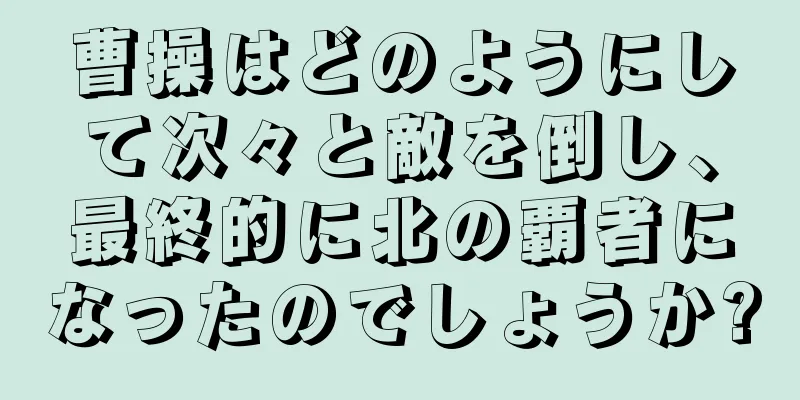 曹操はどのようにして次々と敵を倒し、最終的に北の覇者になったのでしょうか?