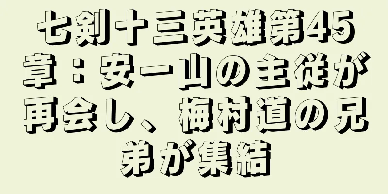 七剣十三英雄第45章：安一山の主従が再会し、梅村道の兄弟が集結
