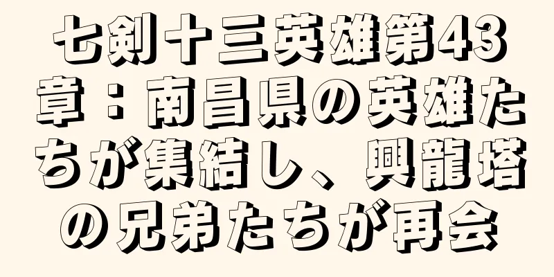 七剣十三英雄第43章：南昌県の英雄たちが集結し、興龍塔の兄弟たちが再会