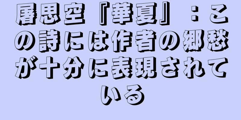 屠思空『華夏』：この詩には作者の郷愁が十分に表現されている