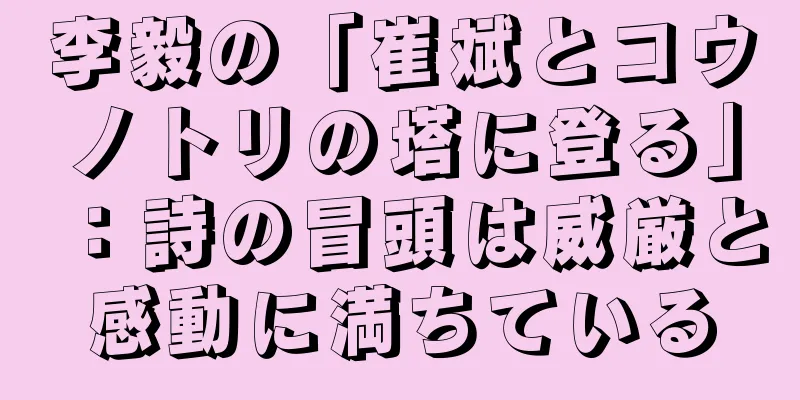 李毅の「崔斌とコウノトリの塔に登る」：詩の冒頭は威厳と感動に満ちている