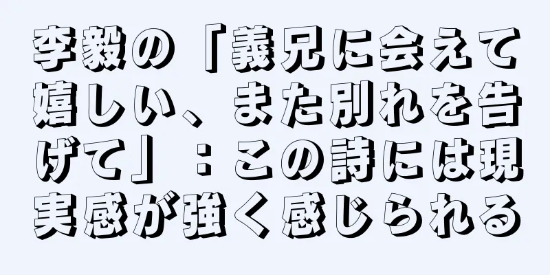 李毅の「義兄に会えて嬉しい、また別れを告げて」：この詩には現実感が強く感じられる