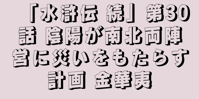 「水滸伝 続」第30話 陰陽が南北両陣営に災いをもたらす計画 金華夷