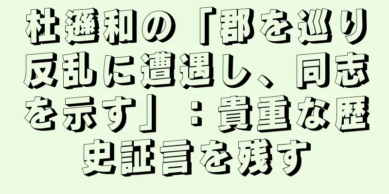 杜遜和の「郡を巡り反乱に遭遇し、同志を示す」：貴重な歴史証言を残す