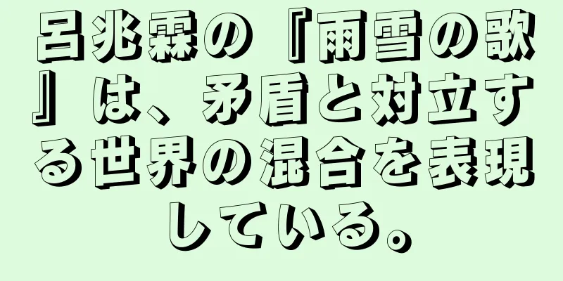 呂兆霖の『雨雪の歌』は、矛盾と対立する世界の混合を表現している。