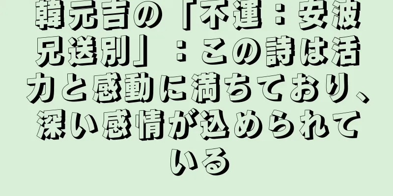 韓元吉の「不運：安波兄送別」：この詩は活力と感動に満ちており、深い感情が込められている