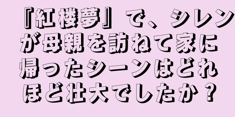 『紅楼夢』で、シレンが母親を訪ねて家に帰ったシーンはどれほど壮大でしたか？