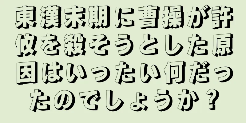 東漢末期に曹操が許攸を殺そうとした原因はいったい何だったのでしょうか？