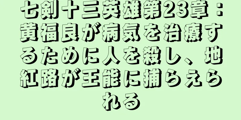 七剣十三英雄第23章：黄福良が病気を治療するために人を殺し、地紅路が王能に捕らえられる
