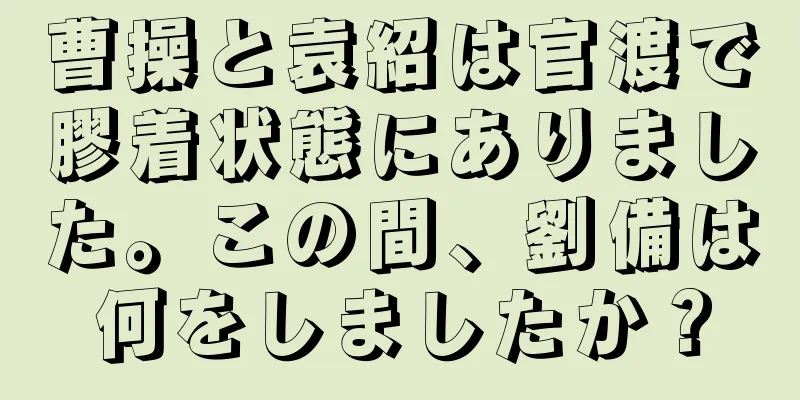 曹操と袁紹は官渡で膠着状態にありました。この間、劉備は何をしましたか？