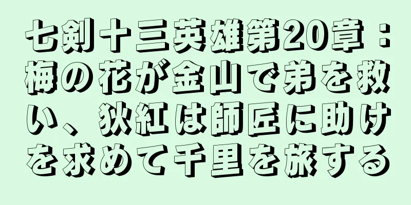 七剣十三英雄第20章：梅の花が金山で弟を救い、狄紅は師匠に助けを求めて千里を旅する