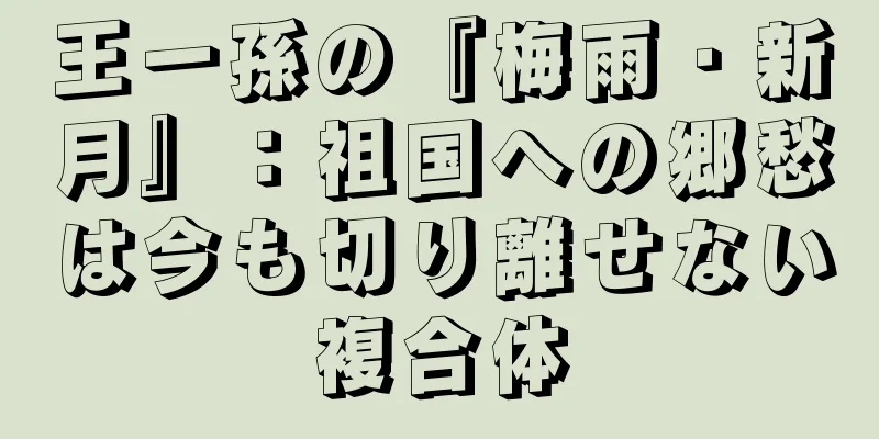 王一孫の『梅雨・新月』：祖国への郷愁は今も切り離せない複合体