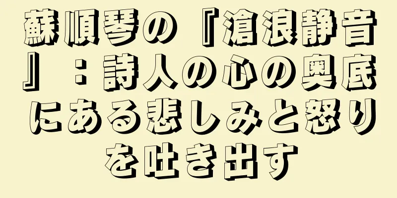 蘇順琴の『滄浪静音』：詩人の心の奥底にある悲しみと怒りを吐き出す